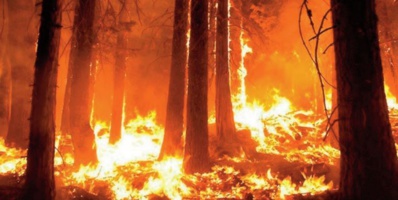 Pouvons-nous empêcher l’incendie mondial la prochaine fois ? Pouvons-nous empêcher l’incendie mondial la prochaine fois ?