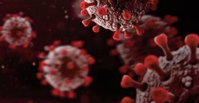 Les chiffres s’affolent. L’OMS se désole Les chiffres s’affolent. L’OMS se désole