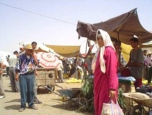 625 projets réalisés dans la région de Taounate entre 2005 et 2013 625 projets réalisés dans la région de Taounate entre 2005 et 2013