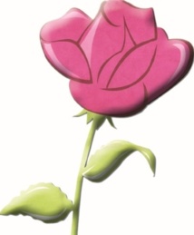 Session ordinaire du Conseil provincial de l’USFP à Guelmim Session ordinaire du Conseil provincial de l’USFP à Guelmim