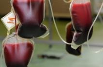 Mourir en attendant une poche de sang Mourir en attendant une poche de sang