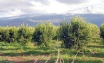 Le Maroc, un exemple à suivre en matière d’économie verte Le Maroc, un exemple à suivre en matière d’économie verte