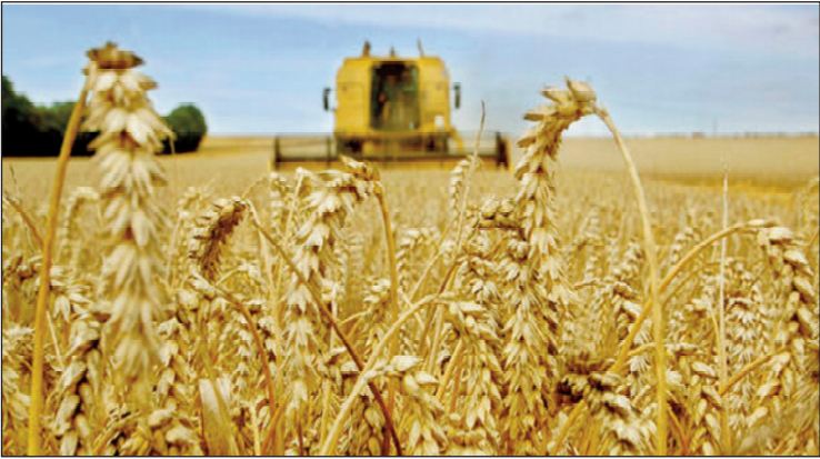 Dame nature creuse les sillons d’ une bonne année agricole