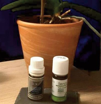 Quelles huiles essentielles pour soigner rapidement un mal de gorge ? Quelles huiles essentielles pour soigner rapidement un mal de gorge ?