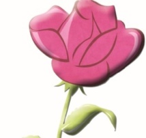 Activités du parti Activités du parti