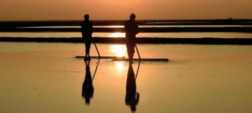 Le changement climatique asphyxie des milliers de paludiers en Inde Le changement climatique asphyxie des milliers de paludiers en Inde