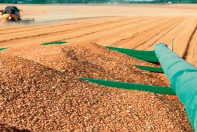Des mesures incitatives à la commercialisation de la production céréalière