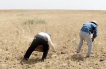 Le think tank BMI revoit à la hausse ses prévisions de croissance Le think tank BMI revoit à la hausse ses prévisions de croissance