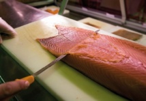 la Norvège reconnaît que son saumon est dangereux pour la santé