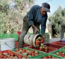 Bilan satisfaisant du Programme MCA-Maroc. Quid du suivi ? Bilan satisfaisant du Programme MCA-Maroc. Quid du suivi ?