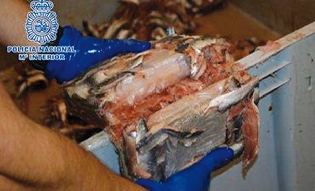 Sardines marocaines et haschich tout aussi marocain Sardines marocaines et haschich tout aussi marocain
