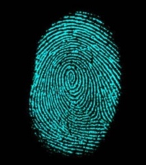 De nouvelles techniques pour révéler les traces cachées de l’empreinte digitale De nouvelles techniques pour révéler les traces cachées de l’empreinte digitale