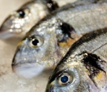 Mangez du poisson deux fois par semaine, mais pas plus Mangez du poisson deux fois par semaine, mais pas plus