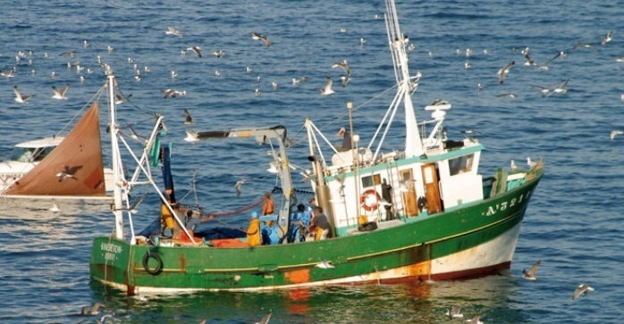 Hausse des débarquements  de la pêche côtière