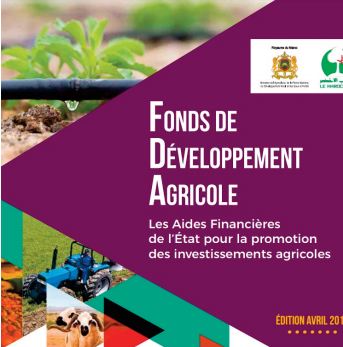Dynamique soutenue des projets d’investissement agricole à Fès et Moulay Yacoub