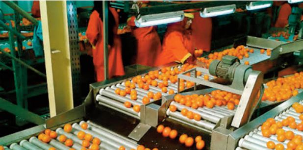L’agroalimentaire enregistre une performance remarquable L’agroalimentaire enregistre une performance remarquable
