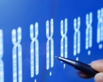 Des chercheurs neutralisent le chromosome responsable de la trisomie 21