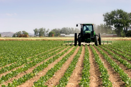 La campagne agricole 2020-2021 reste sur les bons rails