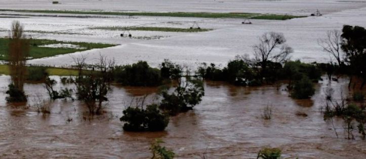 Des toiles d’araignées recouvrent une région australienne