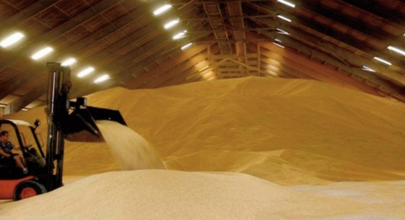 Les stocks mondiaux de céréales devraient enregistrer leur première hausse depuis 2017-2018