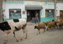 Au coin de l’absurde  Au coin de l’absurde