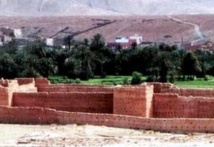 Les chiens errants menacent le village d’Ifrane