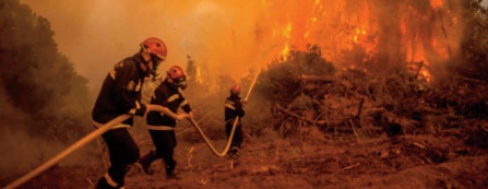 Accalmie sur le front des incendies d'Eubée