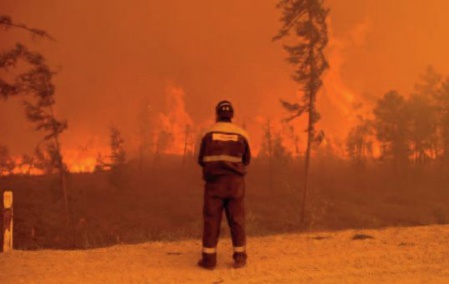 Les incendies continuent de ravager le nord de l’Algérie