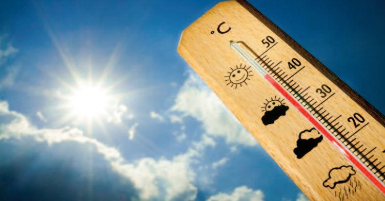 La canicule accule La canicule accule
