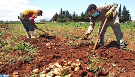 Oujda-Angad : “Génération Green ” entend créer 2,5 millions de journées de travail supplémentaires Oujda-Angad : “Génération Green ” entend créer 2,5 millions de journées de travail supplémentaires