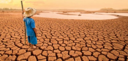 Un milliard de chérubins sous menace de par le monde