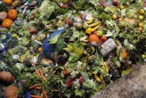 Le gaspillage alimentaire porte préjudice à l’écologie Le gaspillage alimentaire porte préjudice à l’écologie