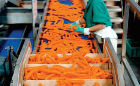 Baisse des prix dans les industries alimentaires