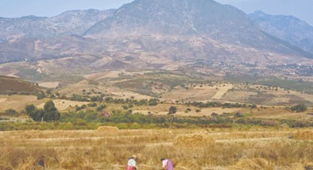 Archive et fiction décoloniales Archive et fiction décoloniales