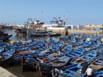 La pêche côtière et artisanale a le vent en poupe