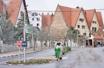 Valorisation écotouristique du parc national d’Ifrane