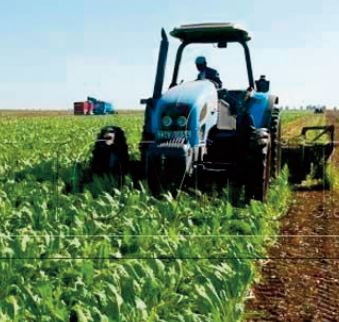 L'expérience marocaine en matière d’innovation agricole mise en avant à Rom