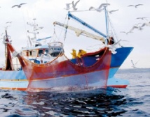 Tenue de la commission mixte maroco-espagnole des professionnels de la pêche Tenue de la commission mixte maroco-espagnole des professionnels de la pêche