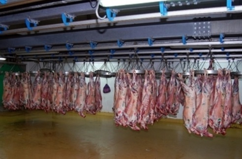 Les abattoirs de Casablanca ouverts le jour de l’AïdLes abattoirs de Casablanca ouverts le jour de l’Aïd Les abattoirs de Casablanca ouverts le jour de l’AïdLes abattoirs de Casablanca ouverts le jour de l’Aïd