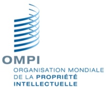 L’AMACPI acquiert le statut de membre d’observateur permanent à l’OMPI à Genève