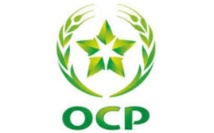 L’OCP ambitionne de truster 50% de la demande mondiale pour les engrais à base de phosphate L’OCP ambitionne de truster 50% de la demande mondiale pour les engrais à base de phosphate