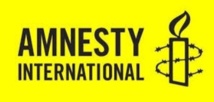 Amnesty International épingle le régime égyptien