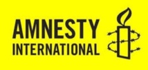 Amnesty International épingle le régime égyptien Amnesty International épingle le régime égyptien