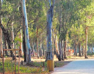 Pas de lotissements réalisés sur le foncier de la Maâmora Pas de lotissements réalisés sur le foncier de la Maâmora