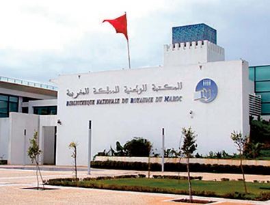 La Bibliothèque nationale lance sa plateforme digitale "Kitab" La Bibliothèque nationale lance sa plateforme digitale "Kitab"