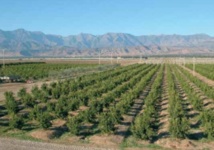 La croissance non-agricole peine à se redresser La croissance non-agricole peine à se redresser