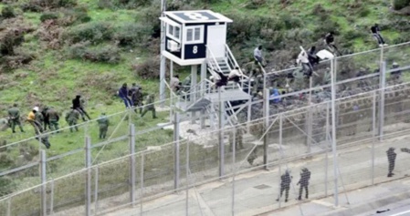 Mise en échec d' une tentative d’immigration clandestine par l’ escalade de la clôture entre Nador et Mellilia Mise en échec d' une tentative d’immigration clandestine par l’ escalade de la clôture entre Nador et Mellilia