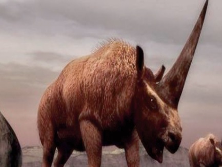 Un nouveau dinosaure découvert à Skoura