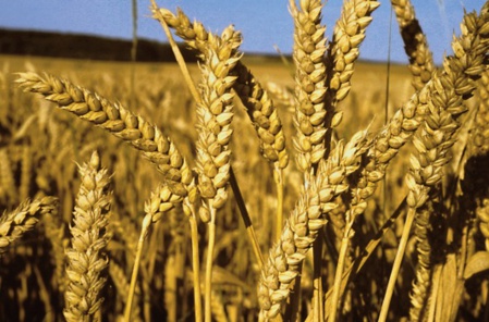 Une mystérieuse équipe pour la gestion du stockage stratégique ! Une mystérieuse équipe pour la gestion du stockage stratégique !