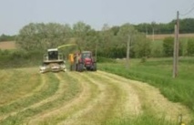 Le Fonds international de développement agricole s’engage dans la région d’El-Haouz